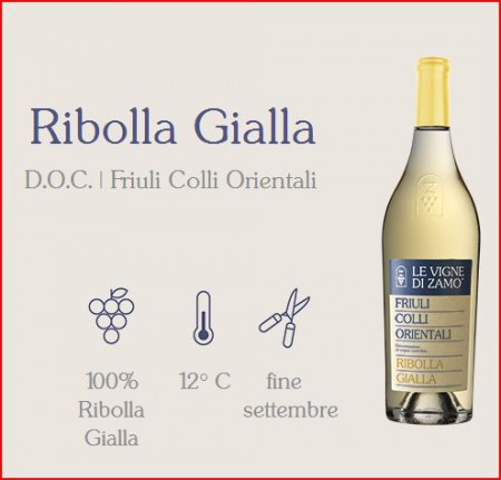 /products/zamo-ribolla-gialla/